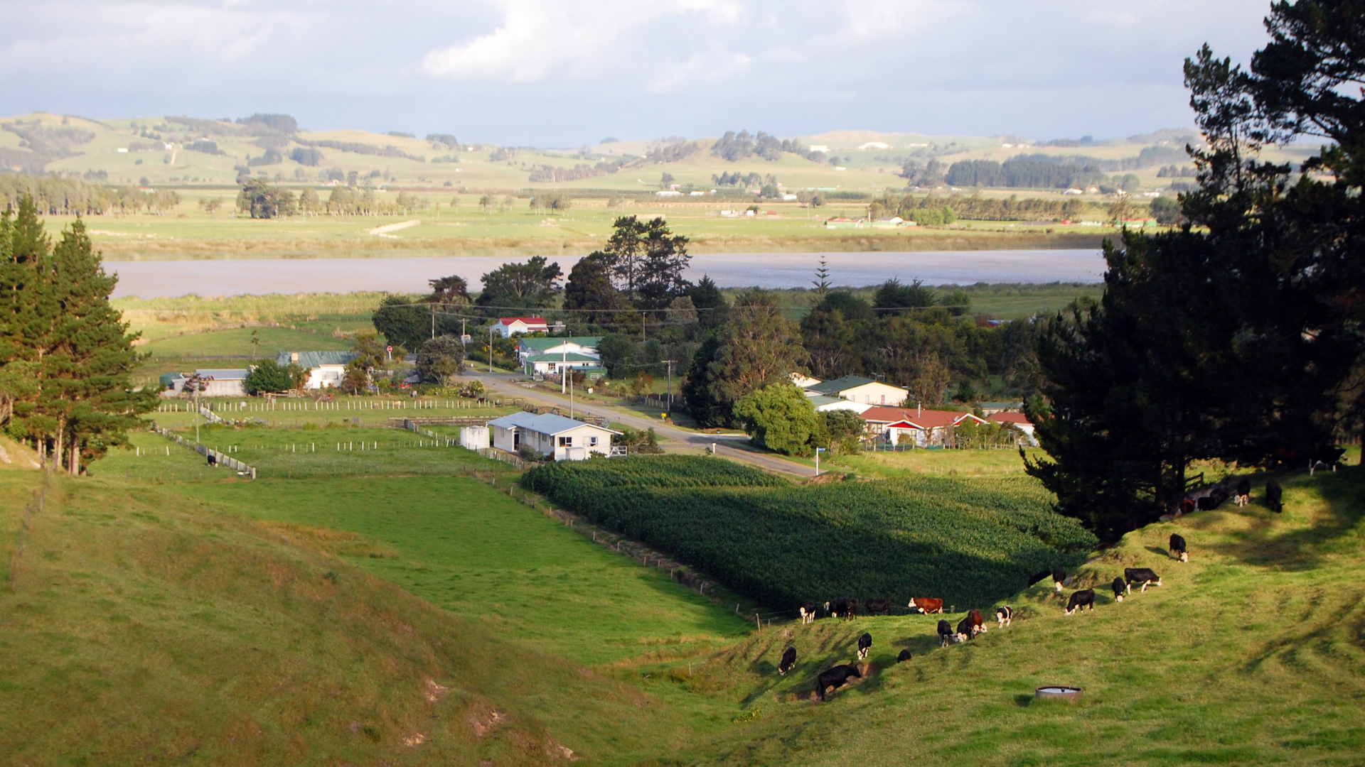 ACCE | Chambers Complete the Economic Mobility for Rural Workers Cohort