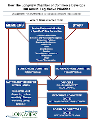 Legislative Priorities Flow Chart - photo