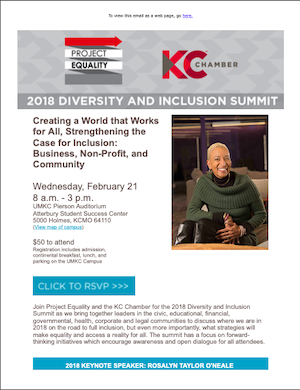 Diversity and Inclusion Summit - photo