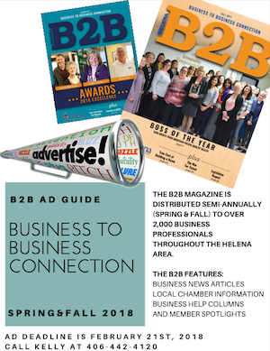 B2B Ad Guide - photo