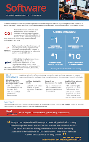 Software Industry One Pager - photo