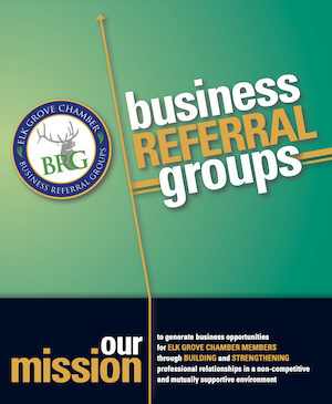 Business Referral Groups Brochure - photo