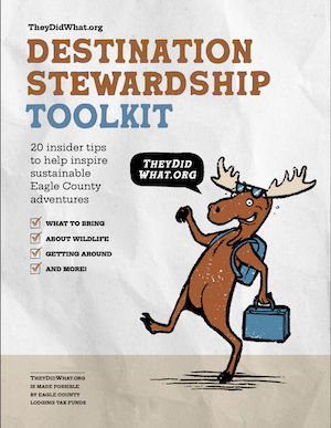They Did What Partner Toolkit - photo