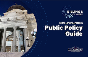 Public Policy Guide - photo