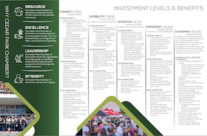 Investment Levels and Benefits - photo