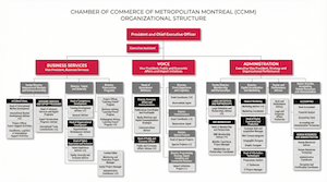 Organizational Structure - photo